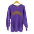 チャンピオン Champion USA製 REVERSE WEAVE 刺繍タグ 前期 後染め WENTWORTH 裏起毛 スウェット メンズ import:XL
