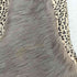 Bukkly Tots バックリー・トッツ rabbit fur ラビットファー ファーベスト レディース