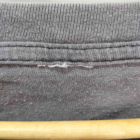 American Thunder アメリカンサンダー The Strong Survive イーグル サンダー 両面プリント クルーネックTシャツ 袖裾シングル フェード メンズ