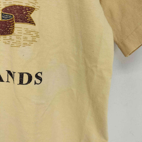 フルーツオブザルーム FRUIT OF THE LOOM 90s USA製 cayman islands プリント スーベニア クルーネック 半袖 Tシャツ メンズ import:L