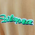 ディアスポラスケートボーズ Diaspora Skateboards ロゴクルーネックTシャツ メンズ JPN:M