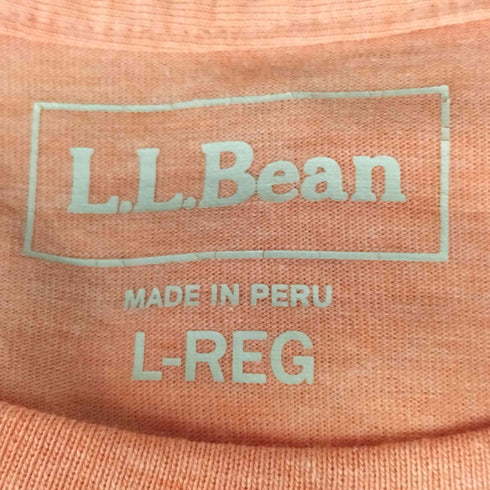 エルエルビーン L.L.Bean Rainbow Falls グラフィック・アクティブ・ティ ジャパン・フィット 両面プリント クルーネックTシャツ レディース L-REG