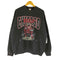 フルーツオブザルーム FRUIT OF THE LOOM 90S NBA CHICAGO BULLS フロントプリント スウェット メンズ JPN:XL