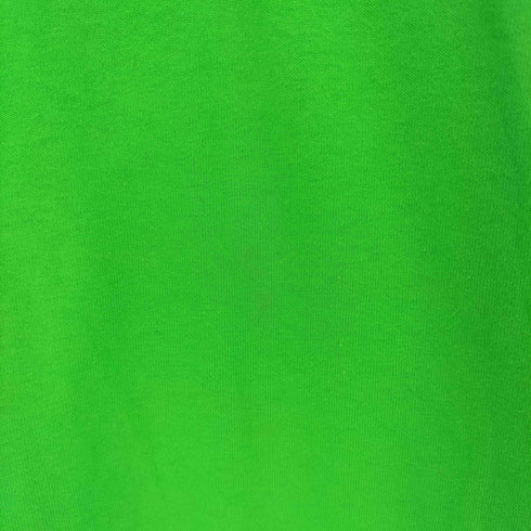 カルネボレンテ Carne Bollente INSPECT HER GADGET LS T-SHIRT クルーネック L/S Tシャツ メンズ import:L