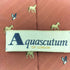 アクアスキュータム AQUASCUTUM 総柄 アニマル コットン ネクタイ メンズ