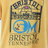 ヘインズ Hanes 90S USA製 HEAVYWEIGHT ヘビーウェイト 50/50 コットン ポリ BRISTOL TENNESSE ブリストル テネシー 両面 スクールプリントTシャツ メンズ S