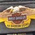 ハーレーダビッドソン HARLEY-DAVIDSON ロゴ刺繍 ハンチング メンズ M