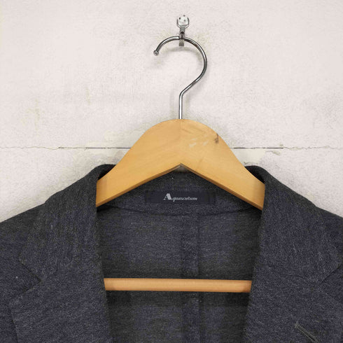 アクアスキュータム AQUASCUTUM ポリリネン シースルー 2Bテーラードジャケット メンズ UK:40