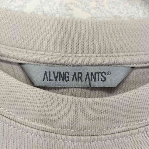 ALVNG AR ANTS フロントタック タック プルオーバー Tシャツ import メンズ S