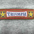 TRIUMPH トライアンフ Vネック ラインTシャツ メンズ FREE