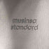 MUSINSA STANDARD ムシンサスタンダード コインローファー レディース KR 245mm