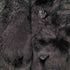 ショット Schott BOA SINGLE PEA COAT ボア シングル ピーコート メンズ import:L