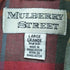 MULBERRY STREET 裏地チェック ジップブルゾン コーデュロイパイピング メンズ JPN:L