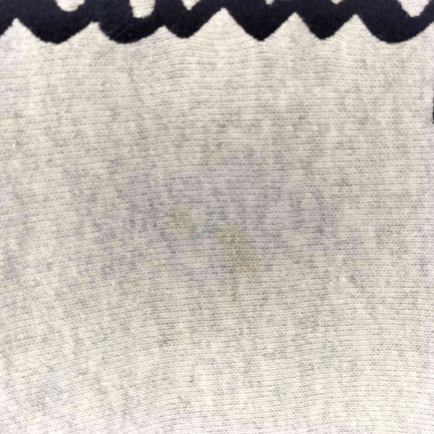 チャンピオン Champion ロゴ刺繍 目あり スウェット トレーナー メンズ JPN:M