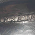 プラダ PRADA イタリア製 SPORT Vibramソール ドローコード レザー ローファー レディース EUR:35
