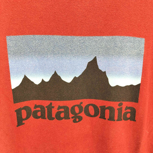 パタゴニア patagonia ロゴプリント クルーネックTシャツ メンズ JPN:M