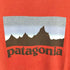 パタゴニア patagonia ロゴプリント クルーネックTシャツ メンズ JPN:M
