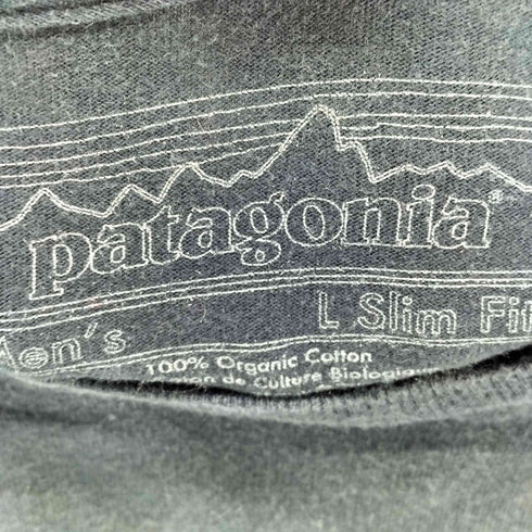 パタゴニア patagonia USA製 ロゴプリント クルーネックTシャツ メンズ JPN:L