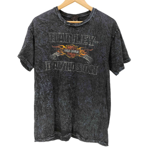 ハーレーダビッドソン HARLEY-DAVIDSON 両面プリント アシッドウォッシュTシャツ メンズ import:L