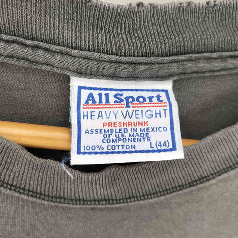 オールスポーツ ALL sport 90S 袖裾シングル 星条旗 クルーネックTシャツ メンズ import:L