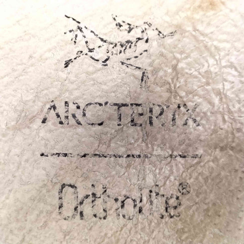 アークテリクス ARCTERYX ARAKYS M Approach SHOES アラキス アプローチシューズ メンズ