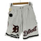 PRO STANDARD DETROIT TIGERS LOGO MESH SHORT ワッペン 刺繍 ショーツ メンズ JPN:L