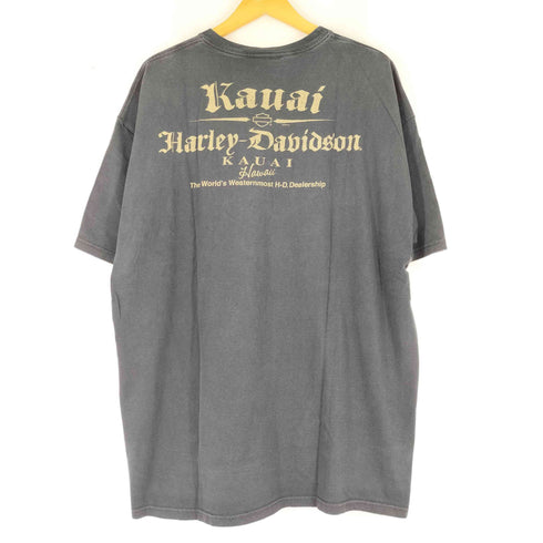 ハーレーダビッドソン HARLEY-DAVIDSON スカルプリント 半袖 Tシャツ メンズ 2XL