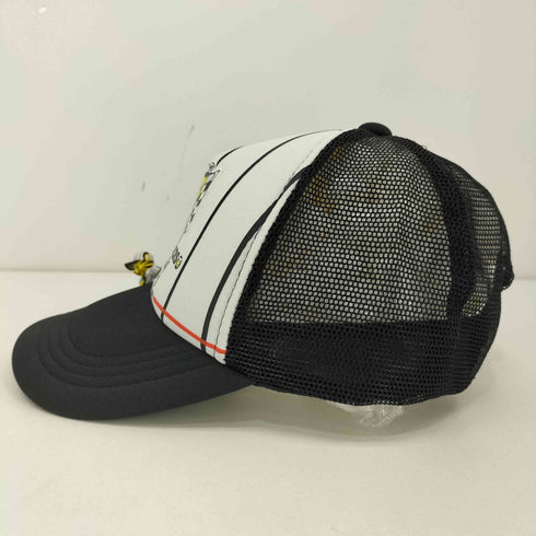 NPB 縦縞 メッシュキャップ メンズ