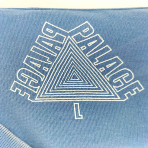 パレス PALACE SKIN UP MONSEIUR T-SHIRT スキン アップ ムッシュ Tシャツ メンズ import:L