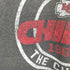 NFL Tシャツ メンズ import:L