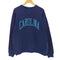 ラッセル Russell 70-80s USA製 Vガゼット CAROLINAプリント スウェット メンズ import:XL