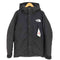 ザノースフェイス THE NORTH FACE GORE-TEX Mountain Down Jacket ゴアテックス マウンテンダウンジャケット メンズ JPN:M