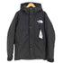 ザノースフェイス THE NORTH FACE GORE-TEX Mountain Down Jacket ゴアテックス マウンテンダウンジャケット メンズ JPN:M