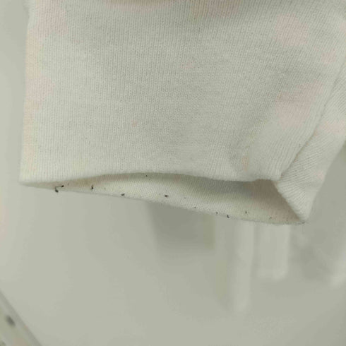ギルダン GILDAN ゴアグラインド バンド アートワーク プリント 袖プリント 長袖 Tシャツ メンズ import:L