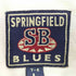 SPRINGFIELD BLUES 2ポケット チェック柄 長袖シャツ メンズ import:L