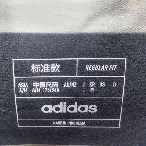 アディダス adidas テレックス XPERIOR GORE-TEX パックライト レインジャケット ゴアテックス メンズ L