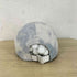 ルルレモン lululemon DAYS SHADE BALL CAP レディース