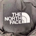 ザノースフェイス THE NORTH FACE Him Down Parka GORE-TEX WINDSTOPPER ヒムダウンパーカ ダウンジャケット メンズ import:S