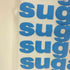 ASHLEY WILLIAMS VEST / SUGAR タンクトップ レディース import:S