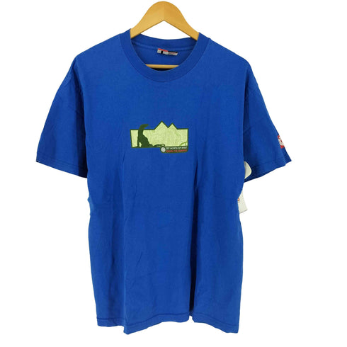エレメント ELEMENT 90s USA製 トカゲ プリント Tシャツ メンズ L