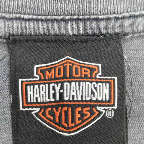 ハーレーダビッドソン HARLEY-DAVIDSON ダメージ加工 スカル タイダイ クルーネック 半袖 Tシャツ ビッグサイズ メンズ