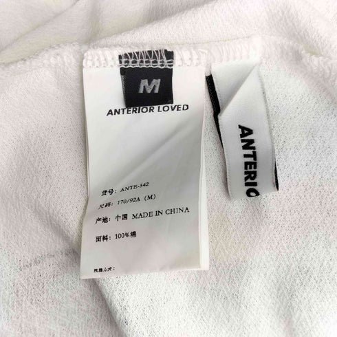 ANTERIOR LOVED 3D Scarf Print Loose Short Sleeve T-shirt スリーディースカーフプリント Tシャツ メンズ import:M