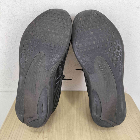 アシックス ASICS EvoRide SPEED エボライド スピード メンズ 29