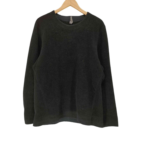 アークテリクス ARCTERYX DINITZ SWEATER ディニッツ セーター メンズ S
