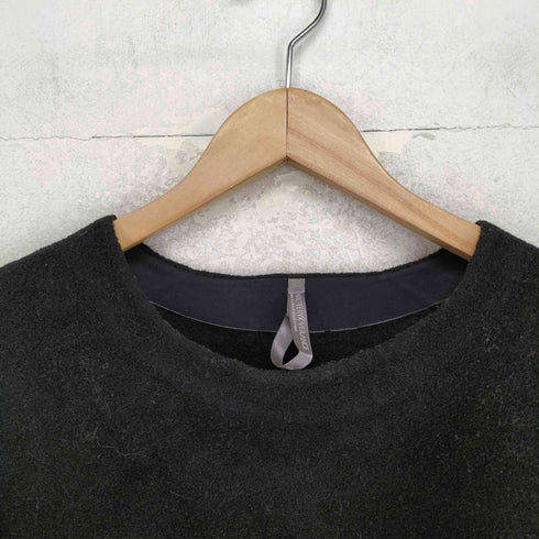 アークテリクス ARCTERYX DINITZ SWEATER ディニッツ セーター メンズ S
