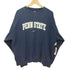 ナイキ NIKE 90s チームタグ センタースウォッシュ PENN STATE クルーネック スウェット メンズ import:L