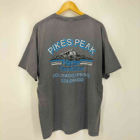ハーレーダビッドソン HARLEY-DAVIDSON ピンナップガール 両面プリント クルーネック 半袖フェードTシャツ メンズ