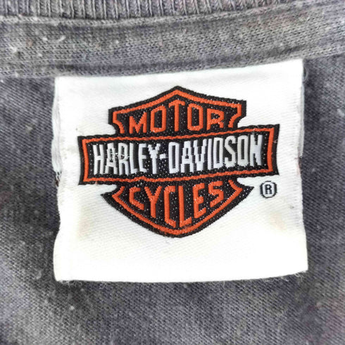 ハーレーダビッドソン HARLEY-DAVIDSON ピンナップガール 両面プリント クルーネック 半袖フェードTシャツ メンズ