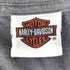 ハーレーダビッドソン HARLEY-DAVIDSON ピンナップガール 両面プリント クルーネック 半袖フェードTシャツ メンズ