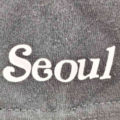 ヴェルディ VERDY 26SS I Believe in me プリント Tシャツ 個展 韓国 SEOUL S/S カットソー ブラック メンズ import:XL